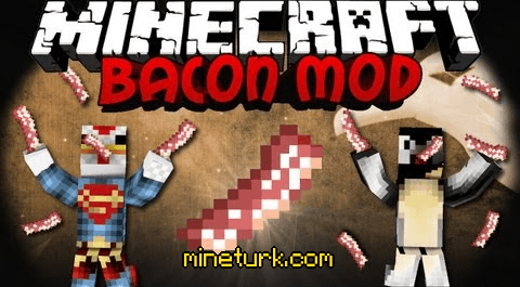 baconmod