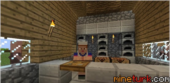 Village-Taverns-Mod-Screenshots-5