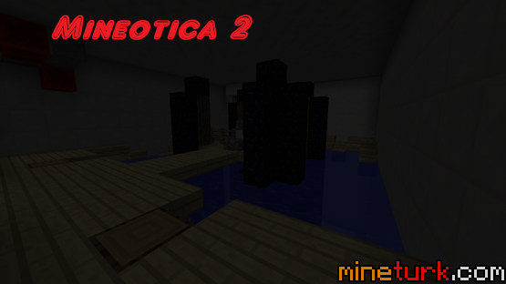 mineotica-2 (4)